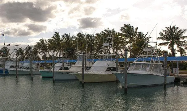 Bill Bird Marina in Miami-Dade County, United States — photo 3
