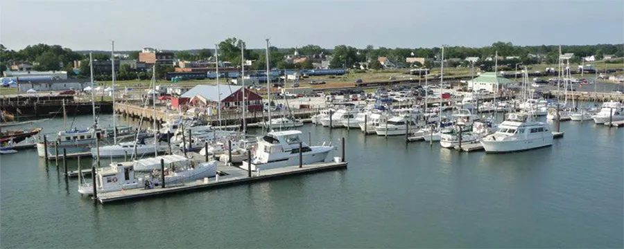 Cape Charles Town Harbor, marina in Cape Charles, United States — photo 2