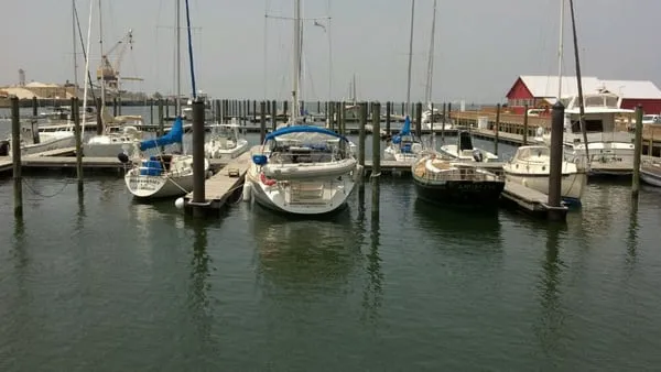 Cape Charles Town Harbor, marina in Cape Charles, United States — photo 8