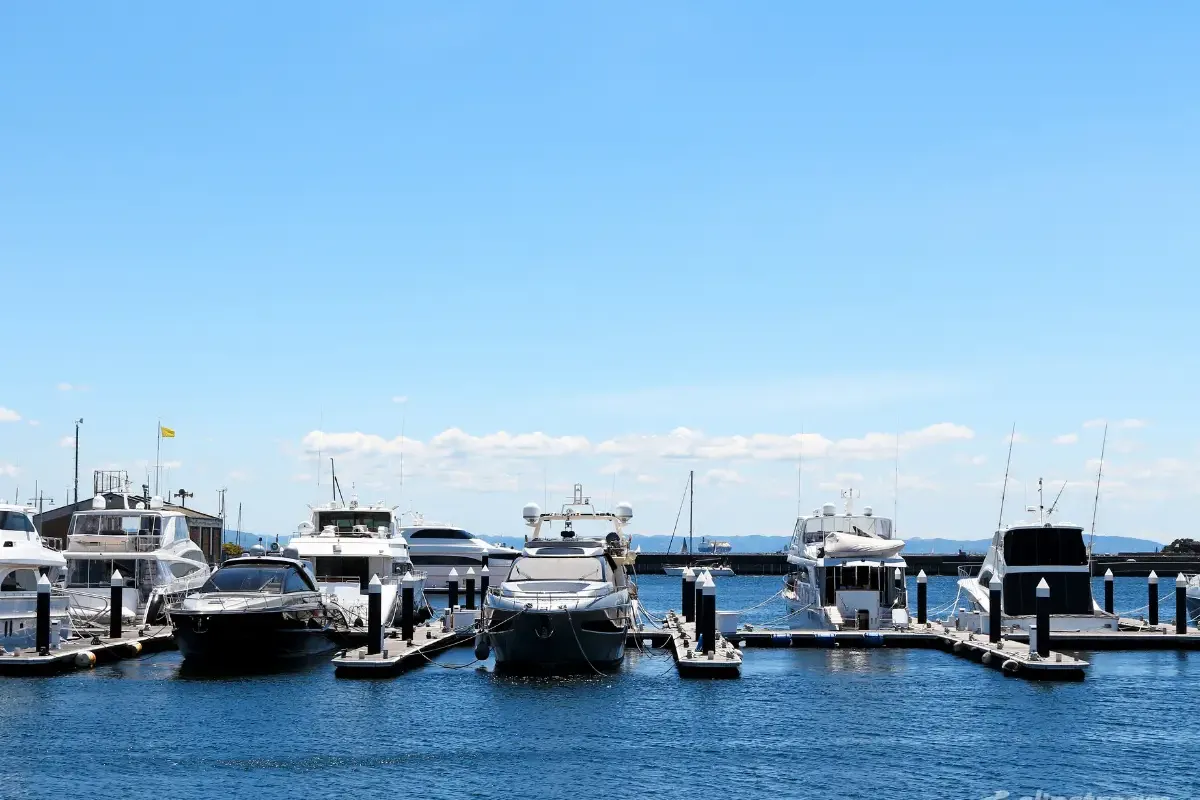 Cape Charles Town Harbor, marina in Cape Charles, United States — photo 7