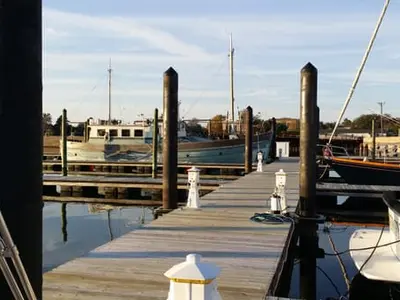 Cape Charles Town Harbor, marina in Cape Charles, United States — photo 4