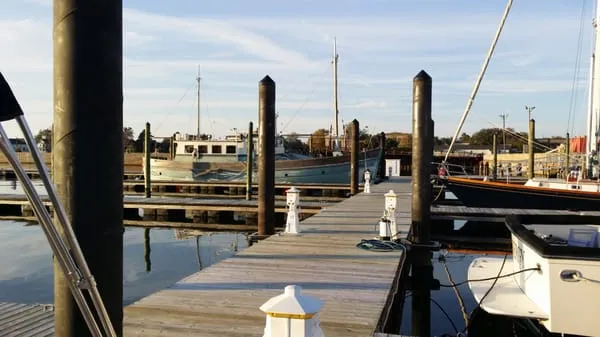 Cape Charles Town Harbor, marina in Cape Charles, United States — photo 4