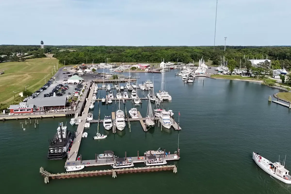 Cape Charles Town Harbor, marina in Cape Charles, United States