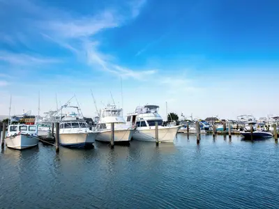 Cape Island Marina in Lower Township, United States — photo 2