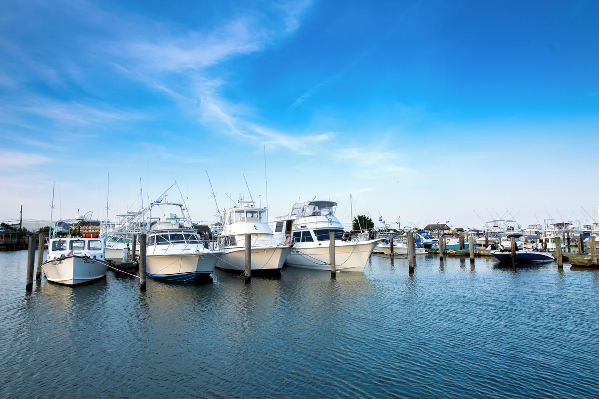 Cape Island Marina in Lower Township, United States — photo 2