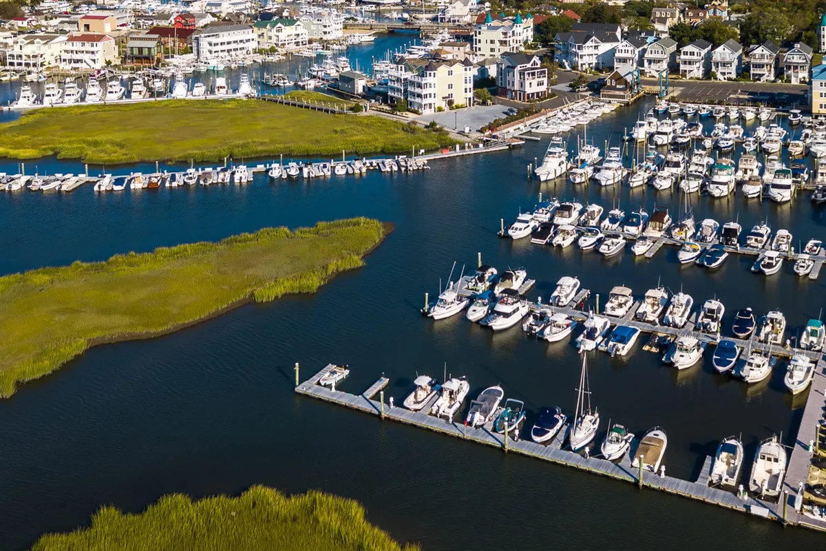 Cape Island Marina in Lower Township, United States — photo 4