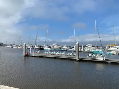 Fernandina Harbor Marina in Fernandina Beach, United States — photo 3