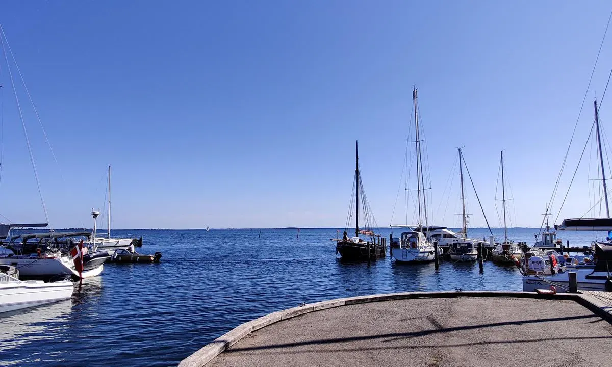 Dybvig Havn, marina in Lolland Kommune, Denmark — photo 6