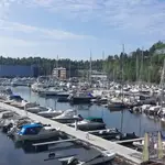Småbåtshavn