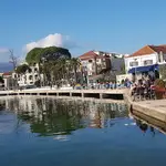 Pine Marina