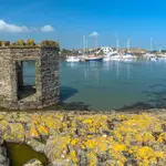 Phennick Cove Marina