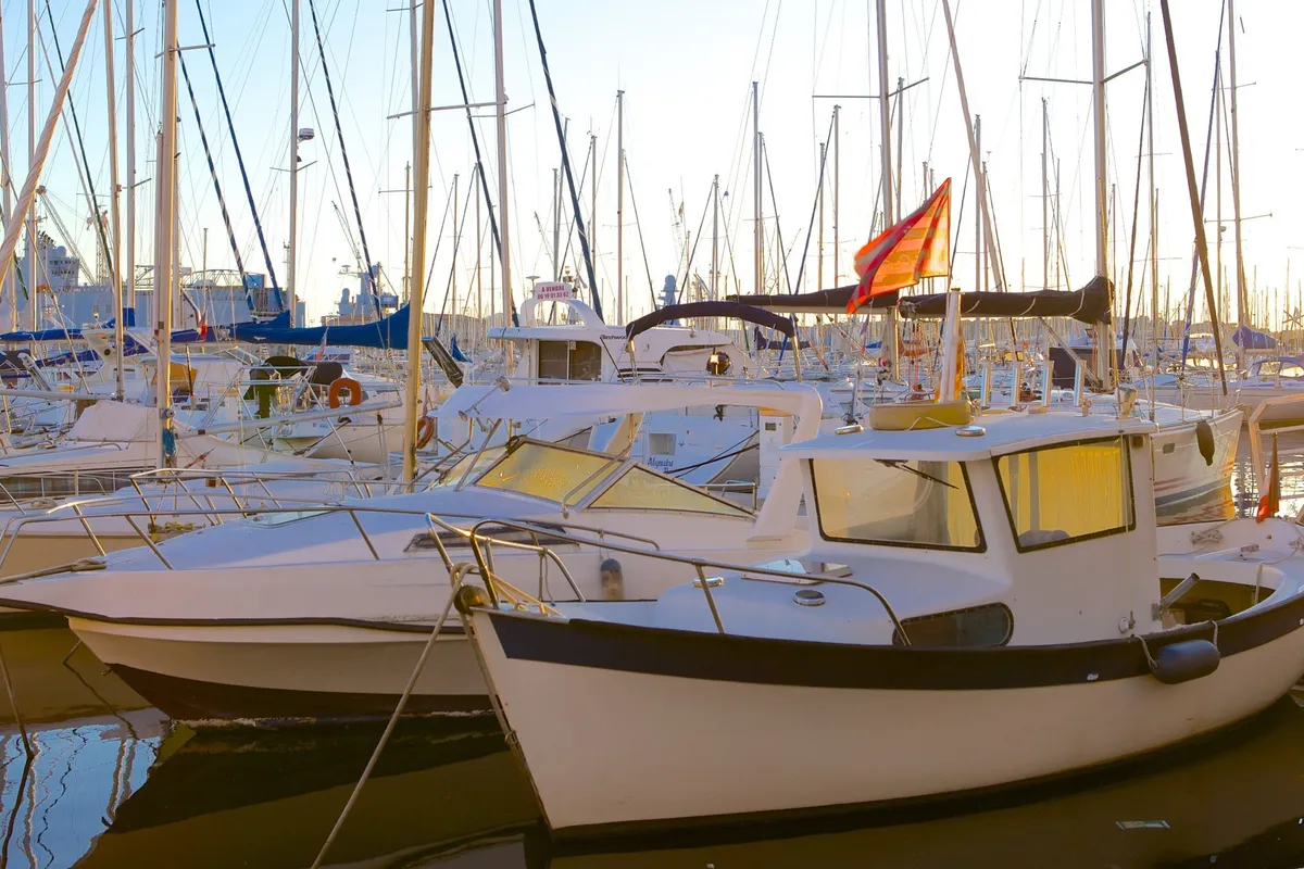 Ancien Port, marina in Le Lavandou, France — photo 7