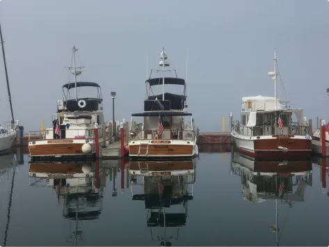 Hessel Marina in Hessel, United States