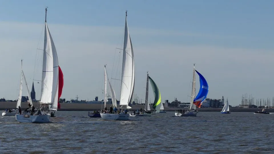 Harlinger Watersportvereniging, marina in Harlingen, Netherlands — photo 6