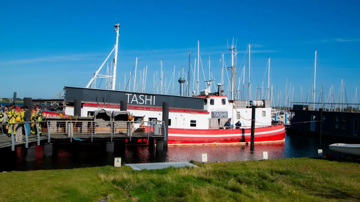 Yachthafen Burgtiefe, marina in Fehmarn, Germany — photo 4