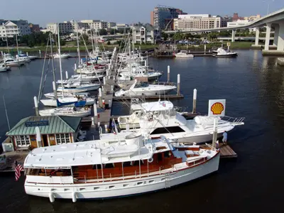Ashley Marina in Charleston, United States — photo 2