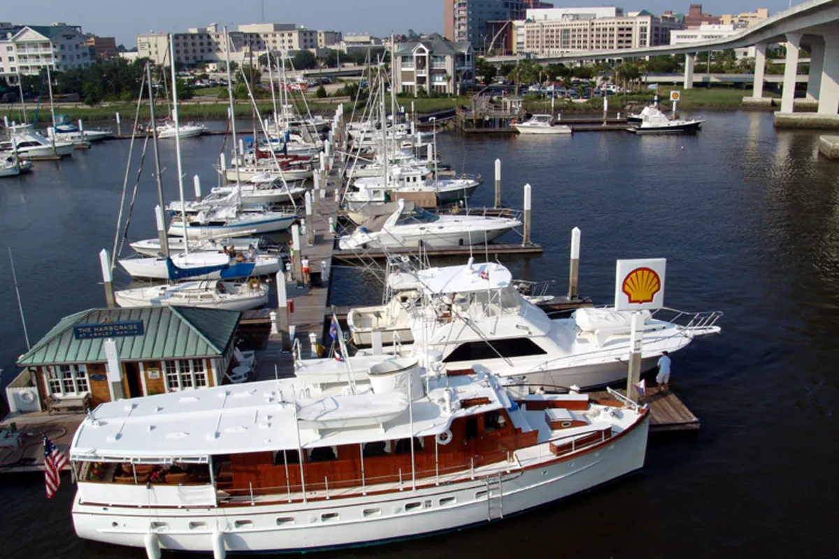 Ashley Marina in Charleston, United States — photo 2