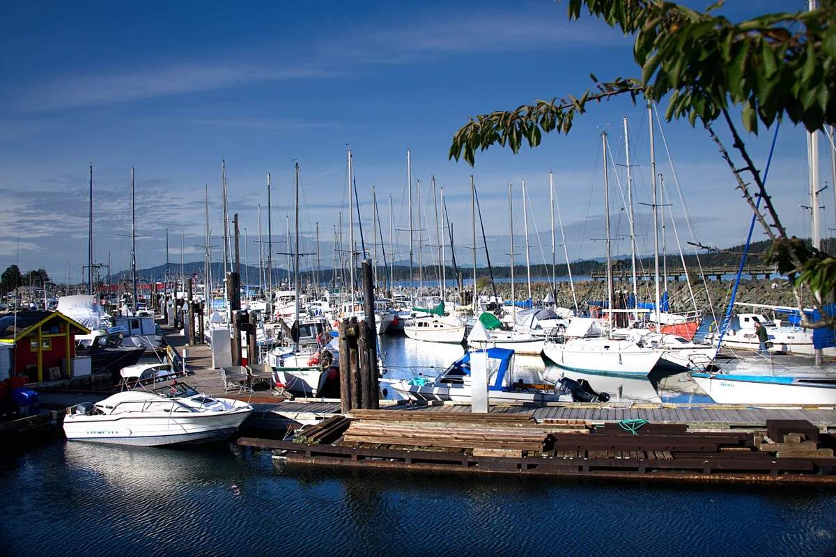 Discovery Harbour Marina in Campbell River, Canada — photo 7