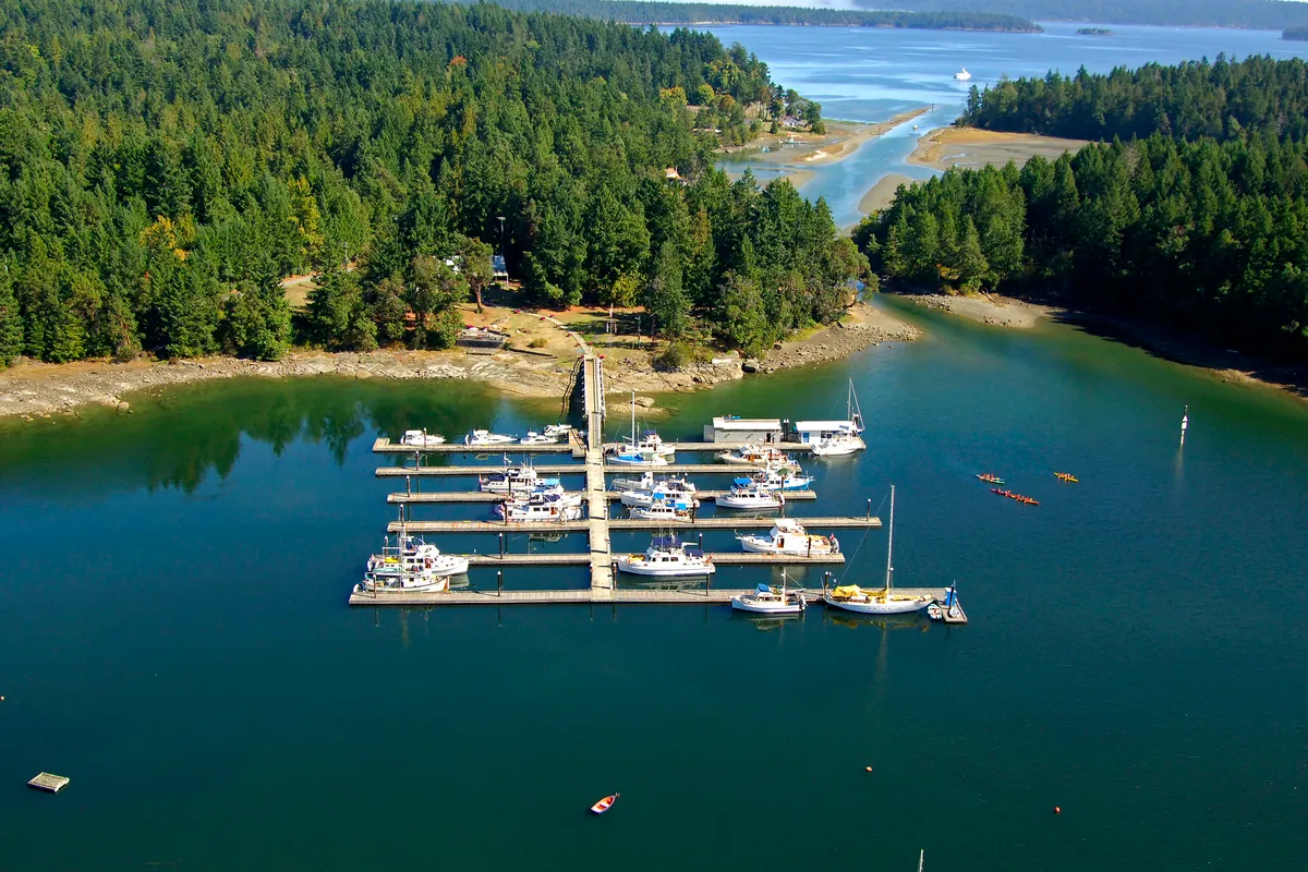 Telegraph Harbour Marina in Area G (Saltair / Gulf Islands), Canada — photo 4