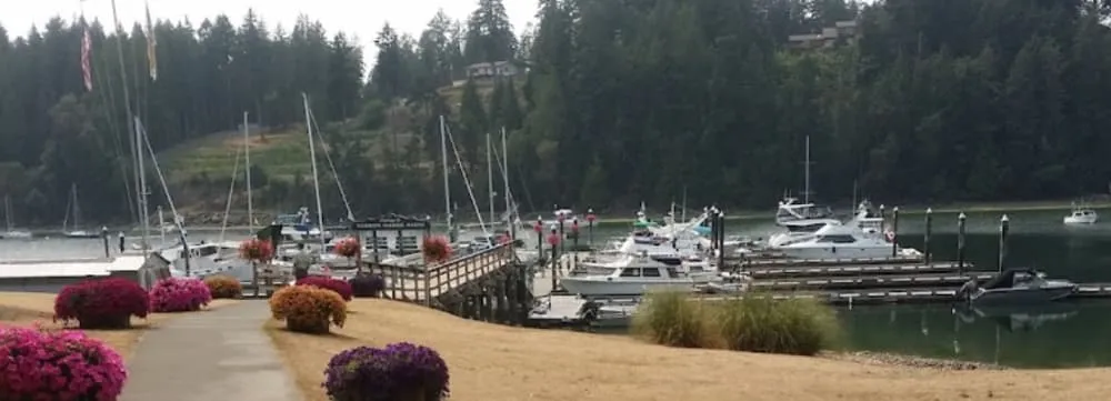 Telegraph Harbour Marina in Area G (Saltair / Gulf Islands), Canada — photo 9