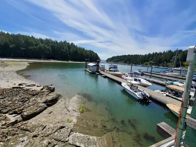 Telegraph Harbour Marina in Area G (Saltair / Gulf Islands), Canada — photo 3
