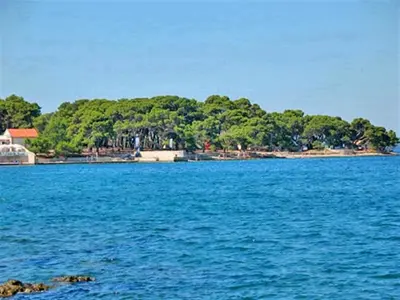 Petrčane Marina in Petrčane, Croatia — photo 2