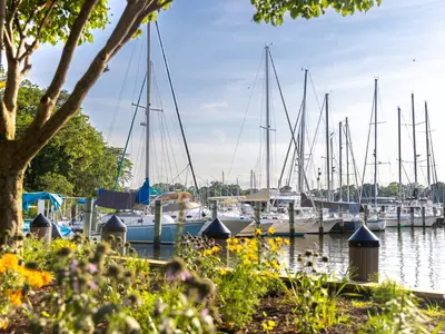 Annapolis, Port Annapolis Marina in Annapolis, United States — photo 4