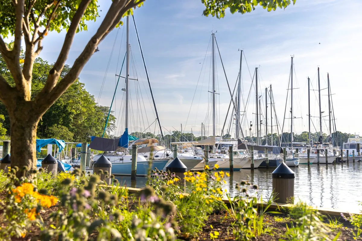 Annapolis, Port Annapolis Marina in Annapolis, United States — photo 4