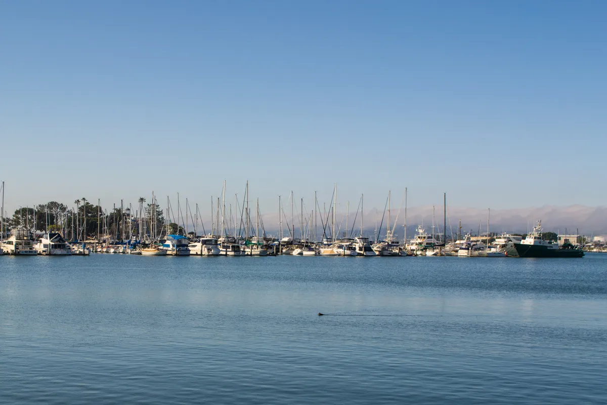 San Diego, Harbor Island, marina in San Diego, United States — photo 2
