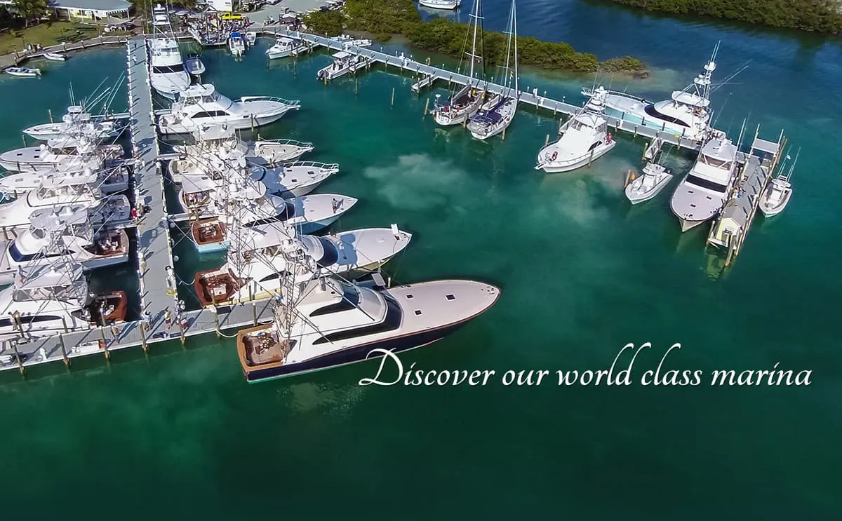 Green Turtle Club Resort & Marina in Green Turtle Cay, Bahamas — photo 8