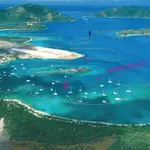 BVI, Beef Island, Trellis Bay
