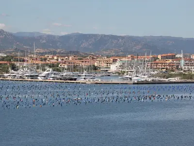 Marina di Olbia in Olbia, Italy — photo 2