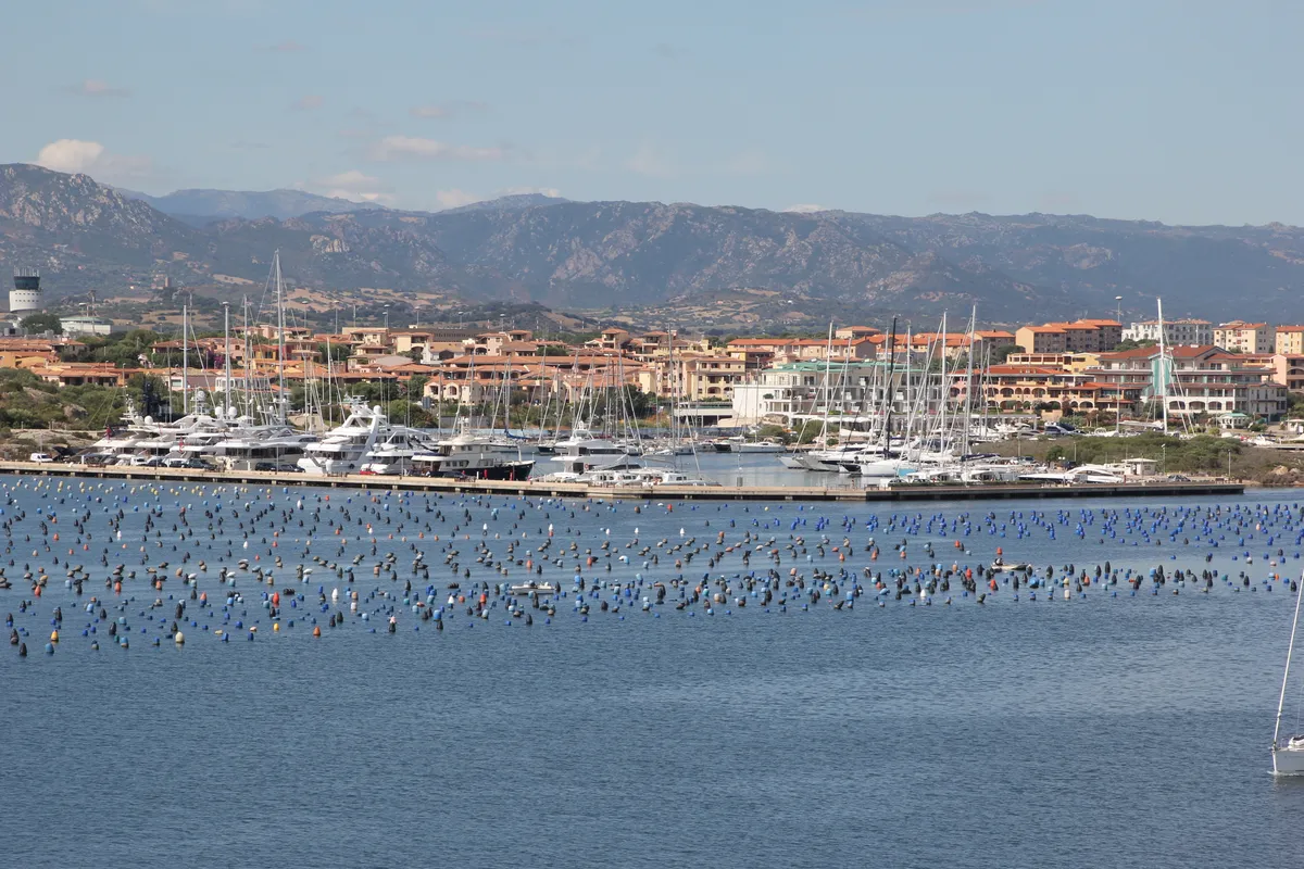 Marina di Olbia in Olbia, Italy — photo 2