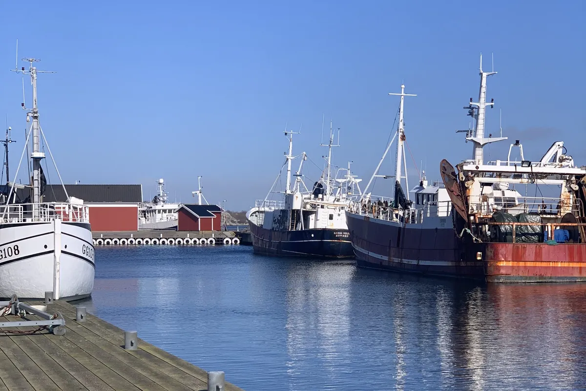 Fotö gästhamn, marina in Fotö, Sweden — photo 3