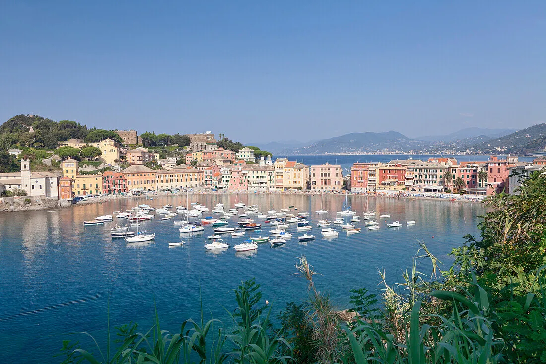 Sestri Levante Marina in Sestri Levante, Italy — photo 8