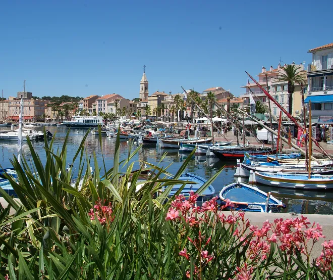 Bandol Marina in Bandol, France — photo 3