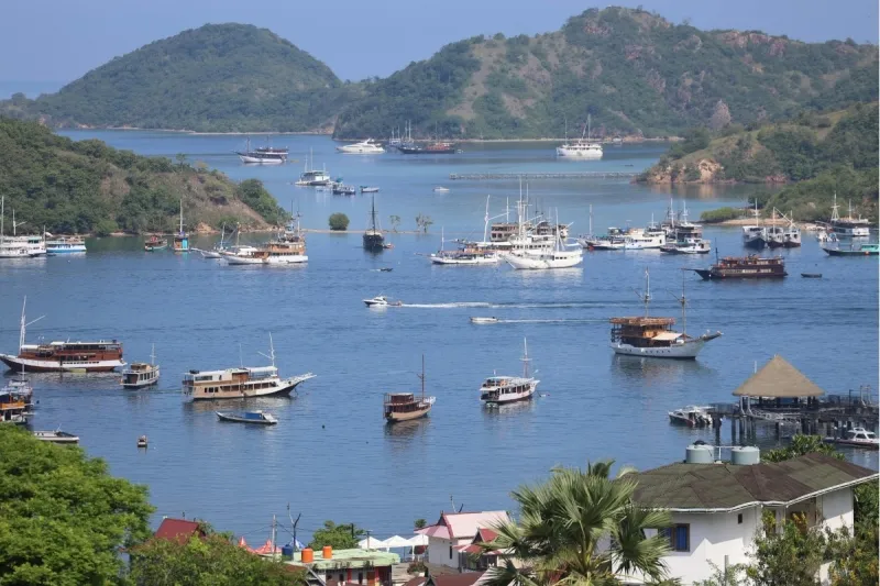 Labuan Bajo Marina in Labuan Bajo, Indonesia — photo 5