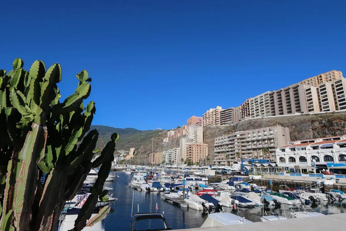 Puerto Deportivo Radazul, marina in El Rosario, Spain — photo 2