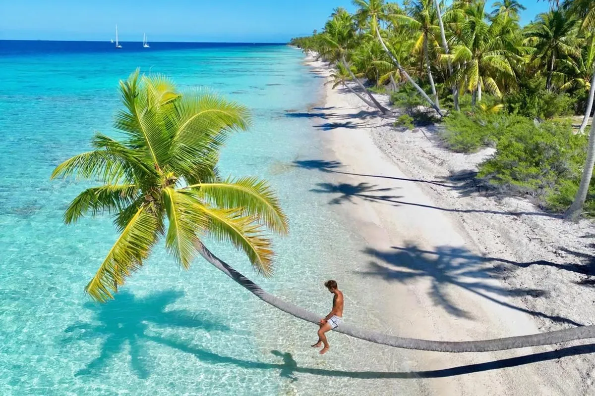 Fakarava Marina in Fakarava, France — photo 9