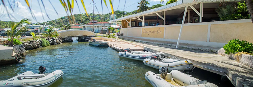 Clifton harbour, marina in Clifton, Saint Vincent and the Grenadines — photo 7
