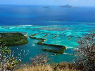 Clifton harbour, marina in Clifton, Saint Vincent and the Grenadines — photo 4