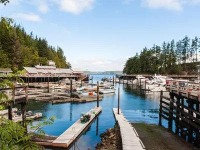 Port McNeil