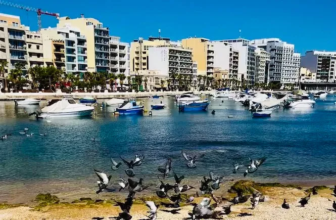 Gzira Marina in Ta' Xbiex, Malta — photo 5