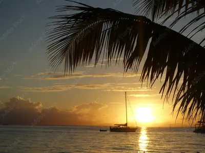 Huahine Marina in France — photo 5