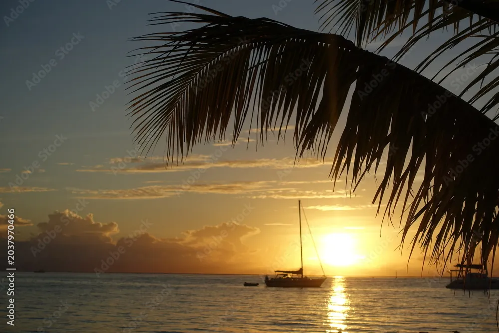 Huahine Marina in France — photo 5