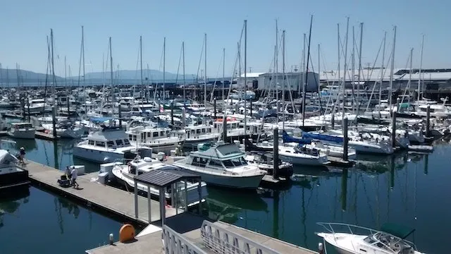 Squalicum Harbor, marina in Bellingham, United States — photo 8