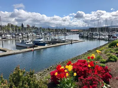 Port of Bellingham, marina in Bellingham, United States — photo 4