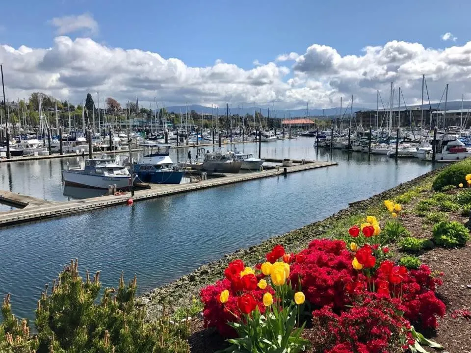 Port of Bellingham, marina in Bellingham, United States — photo 4