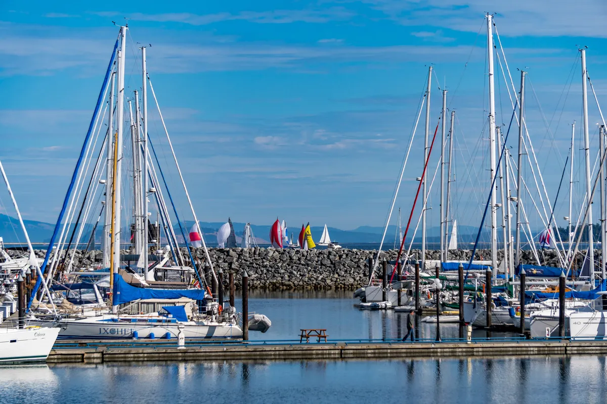Port Sidney Marina in Sidney, Canada — photo 6