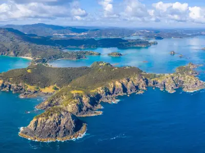 Paihia / Bay of Islands, marina in Bay of Islands, New Zealand — photo 3